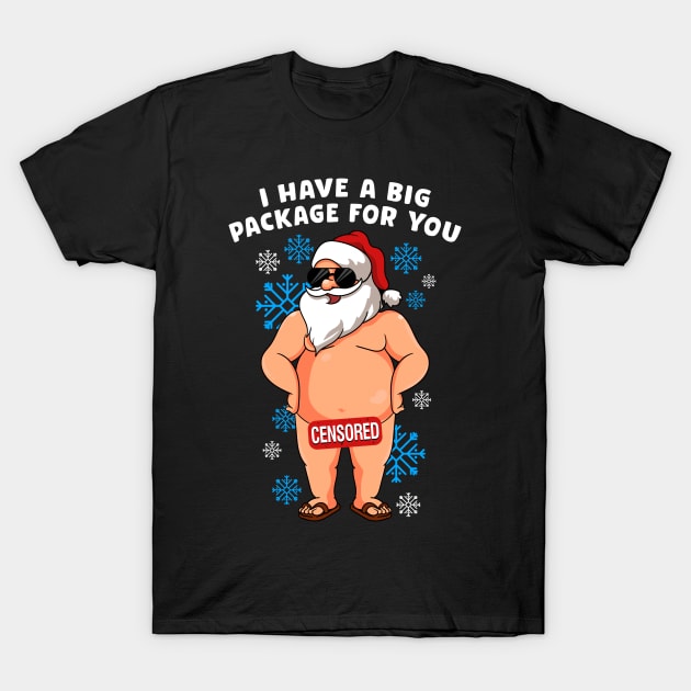 Dirty Christmas with Naughty Santa T-Shirt by KsuAnn